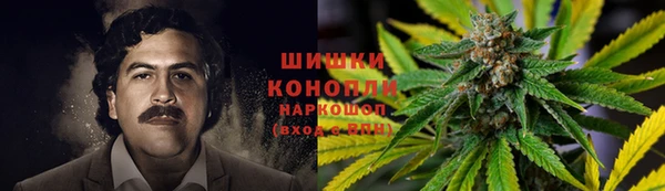 spice Лагань