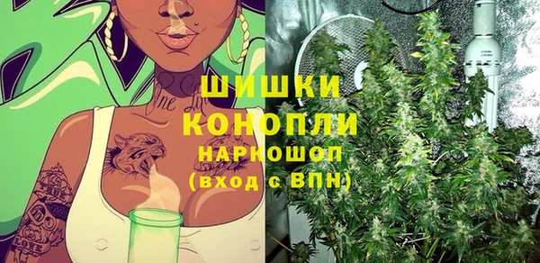 бошки Вязьма