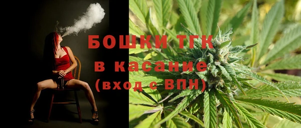 spice Лагань