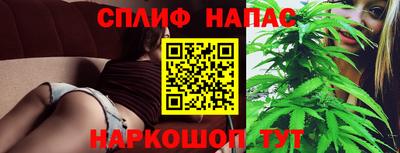 СК Будённовск