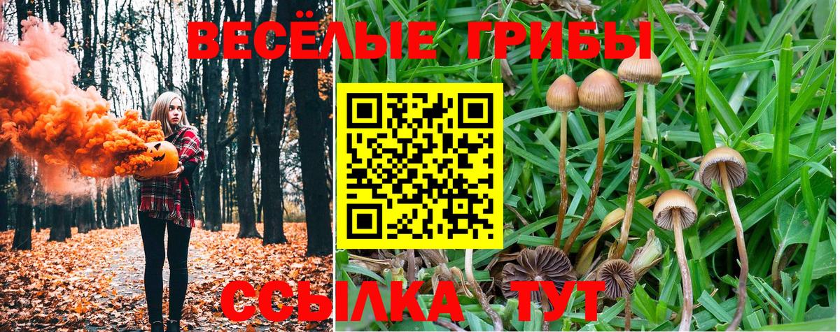 КЕТАМИН Десногорск